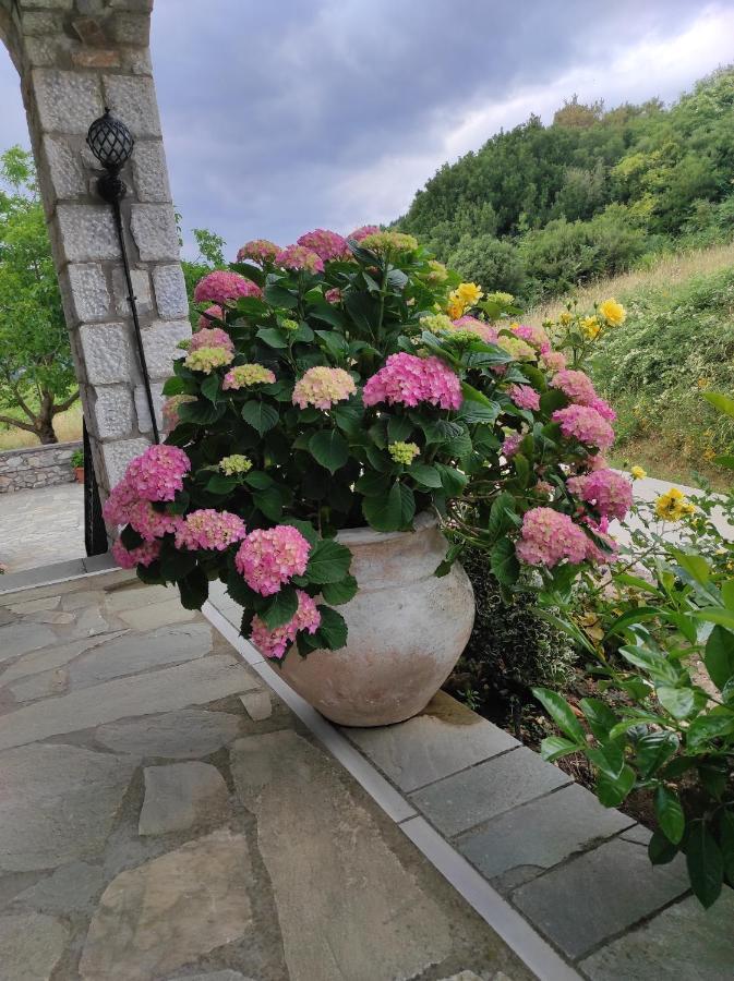 Ouranogiton Resort Kosmas Bagian luar foto