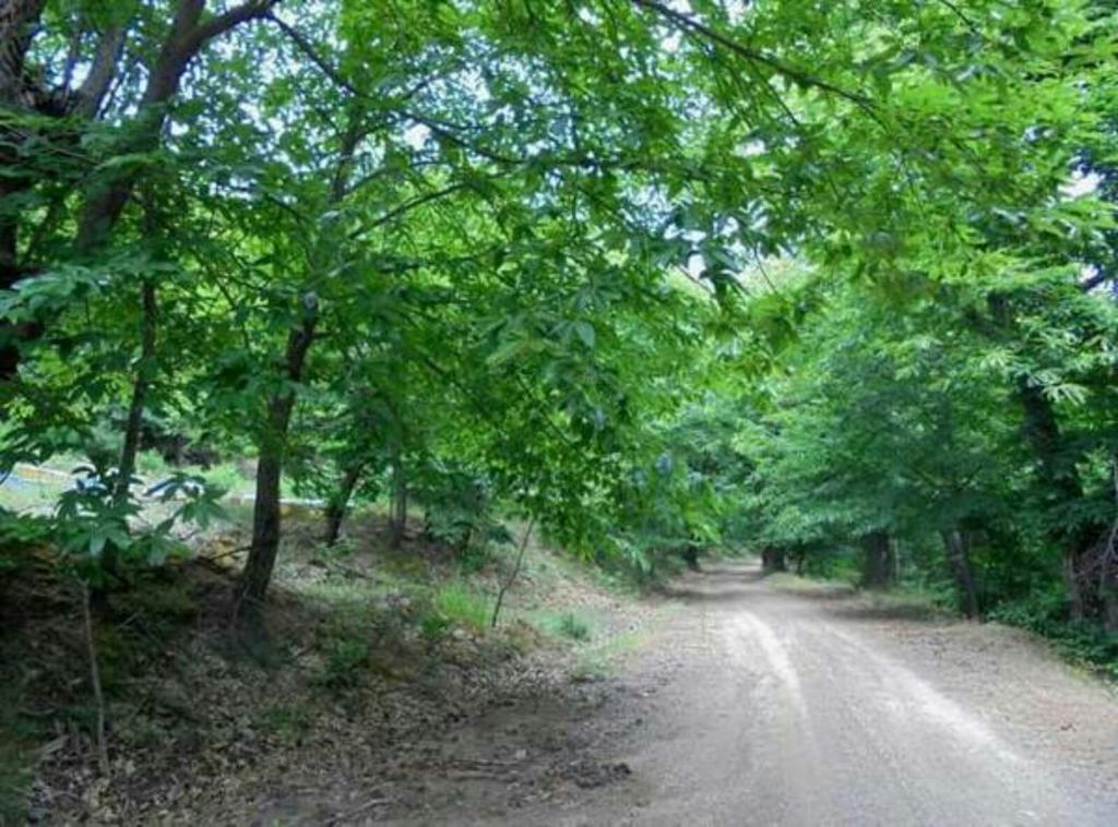 Ouranogiton Resort Kosmas Bagian luar foto